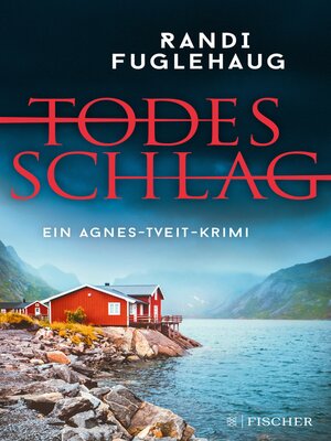 cover image of Todesschlag